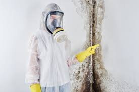 Best Forensic Mold Investigation in Montevideo, MN